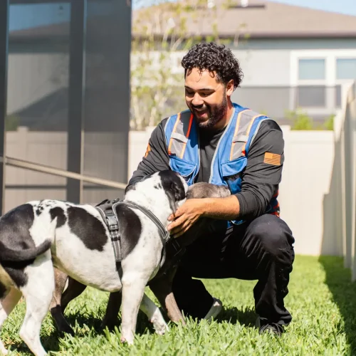 Clean backyard thanks to professional dog waste removal service.