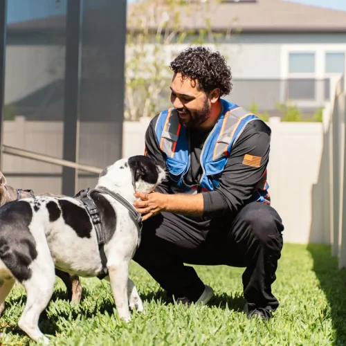 Residential dog poop cleanup technician using sanitary tools.